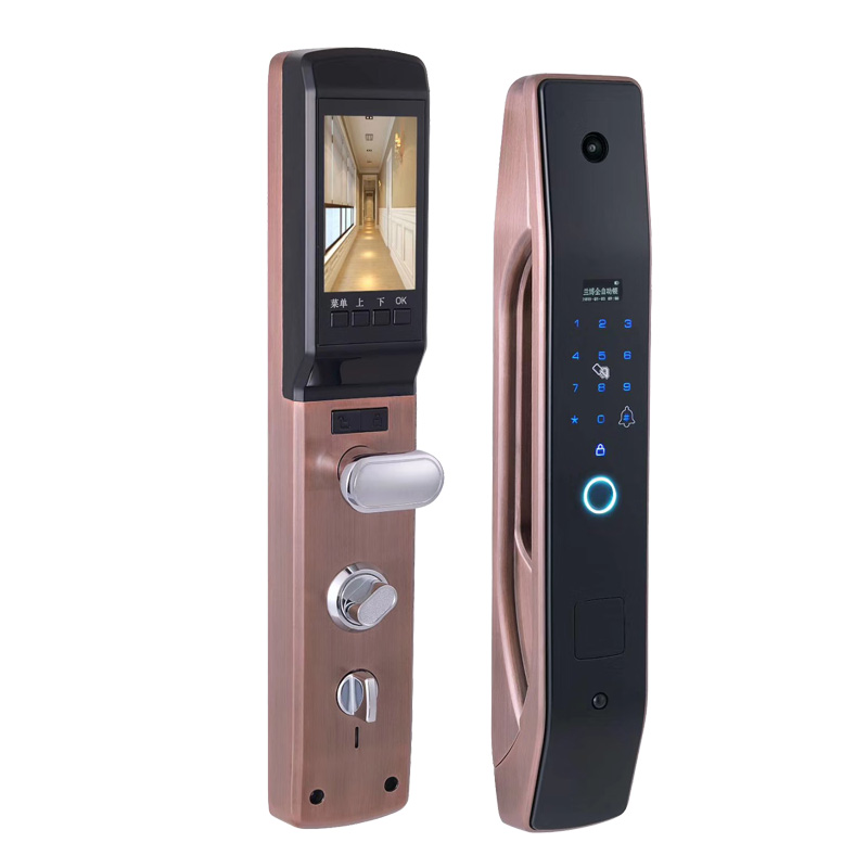 HanDaily Easy to Install Intel - đánh giá và giá Home Security Door Lock